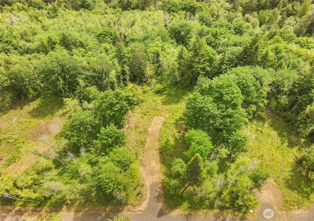 Photo 4 of Land for sale at 131 E Cascara Cvs Ln, Shelton, WA 98584 | MLS# NWM2521143 | Listing updated on 2026-09-21