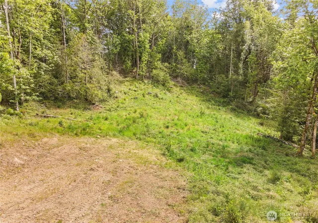 Photo 3 of Land for sale at 171 E Cascara Cvs Ln, Shelton, WA 98584 | MLS# NWM2521144 | Listing updated on 2026-09-21