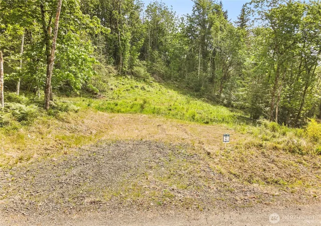 Photo 3 of Land for sale at 171 E Cascara Cvs Ln, Shelton, WA 98584 | MLS# NWM2521144 | Listing updated on 2026-09-21