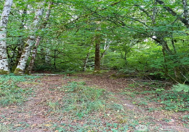 Photo 3 of Land for sale at 52914 131st Avenue E, Eatonville, WA 98328 | MLS# NWM2521145 | Listing updated on 2026-09-21
