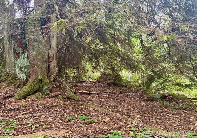 Photo 4 of Land for sale at 52914 131st Avenue E, Eatonville, WA 98328 | MLS# NWM2521145 | Listing updated on 2026-09-21