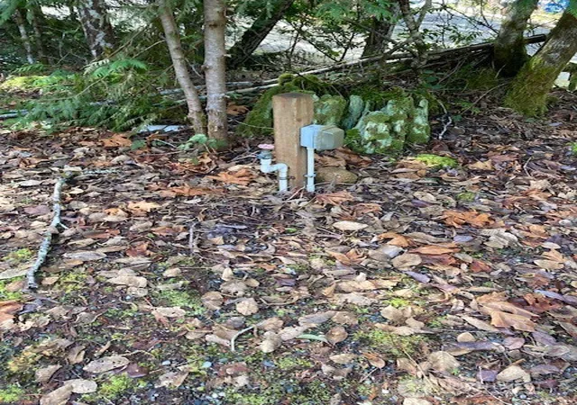 Photo 3 of Land for sale at 100 N Dow Mountain Dr, Hoodsport, WA 98548 | MLS# NWM2521183 | Listing updated on 2026-09-21