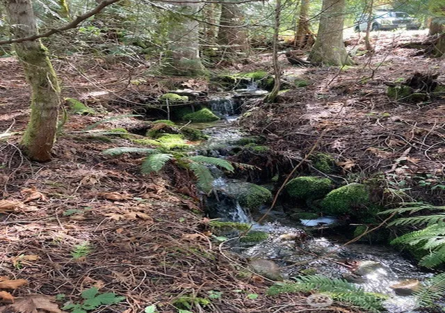 Photo 3 of Land for sale at 100 N Dow Mountain Dr, Hoodsport, WA 98548 | MLS# NWM2521183 | Listing updated on 2026-09-21