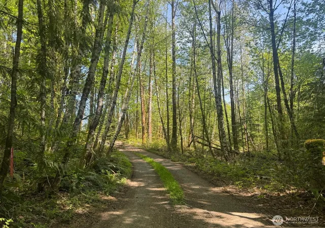 Photo 2 of Single family home for sale at 151 W Clark Rd, Shelton, WA 98584 | MLS# NWM2521291 | Listing updated on 2026-09-21
