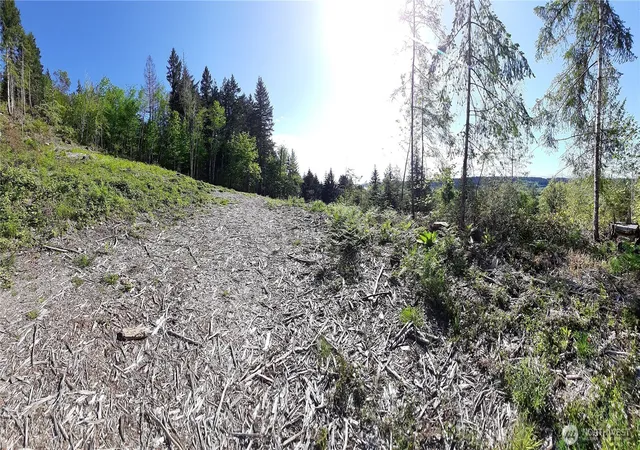 Photo 1 of Land for sale at 101 Ne Wj Way, Belfair, WA 98528 | MLS# NWM2521319 | Listing updated on 2026-09-21