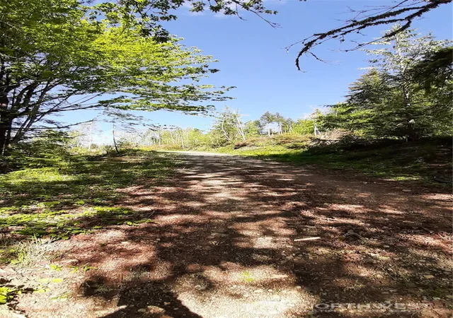 Photo 2 of Land for sale at 101 Ne Wj Way, Belfair, WA 98528 | MLS# NWM2521319 | Listing updated on 2026-09-21