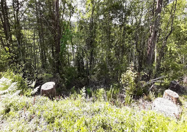 Photo 3 of Land for sale at 101 Ne Wj Way, Belfair, WA 98528 | MLS# NWM2521319 | Listing updated on 2026-09-21