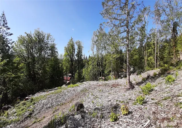 Photo 1 of Land for sale at 131 Ne Wj Way, Belfair, WA 98528 | MLS# NWM2521320 | Listing updated on 2026-09-21