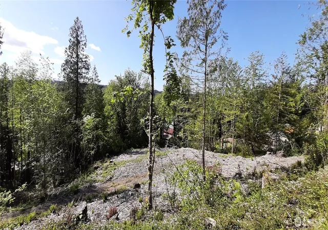 Photo 2 of Land for sale at 131 Ne Wj Way, Belfair, WA 98528 | MLS# NWM2521320 | Listing updated on 2026-09-21