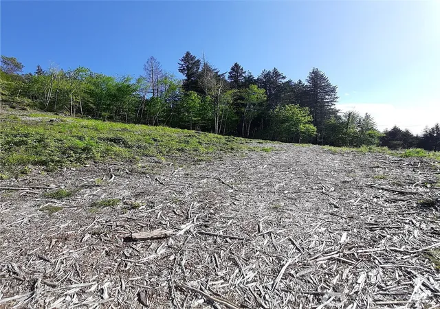 Photo 3 of Land for sale at 131 Ne Wj Way, Belfair, WA 98528 | MLS# NWM2521320 | Listing updated on 2026-09-21