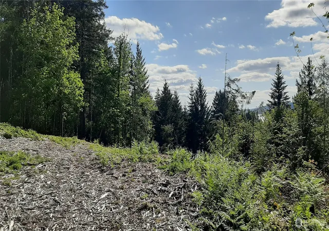 Photo 2 of Land for sale at 200 Ne Wj Way, Belfair, WA 98528 | MLS# NWM2521321 | Listing updated on 2026-09-21