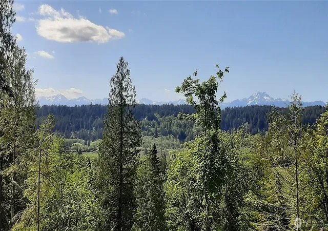 Photo 3 of Land for sale at 200 Ne Wj Way, Belfair, WA 98528 | MLS# NWM2521321 | Listing updated on 2026-09-21