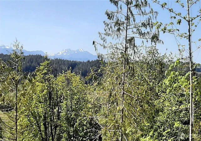 Photo 3 of Land for sale at 200 NE Wj Way, Belfair, WA 98528 | MLS# NWM2521321 | Listing updated on 2026-09-21