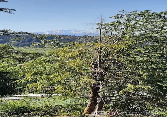 Photo 3 of Land for sale at 261 Ne Wj Way, Belfair, WA 98528 | MLS# NWM2521323 | Listing updated on 2026-09-21