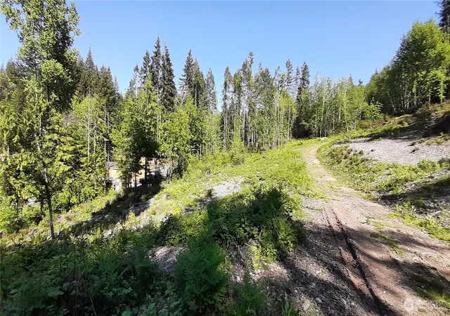 Photo 3 of Land for sale at 261 NE Wj Way, Belfair, WA 98528 | MLS# NWM2521323 | Listing updated on 2026-09-21
