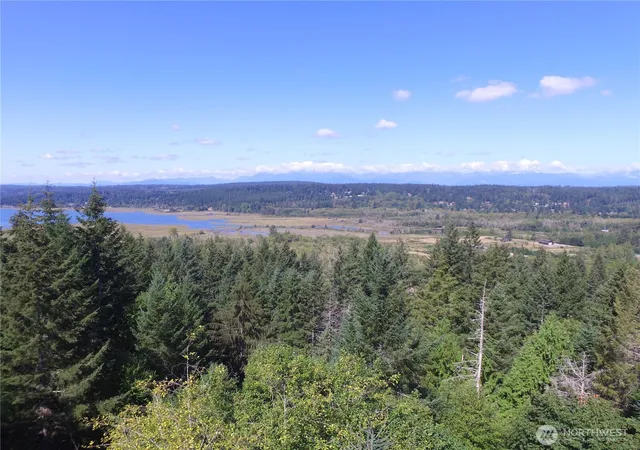 Photo 4 of Land for sale at 261 NE Wj Way, Belfair, WA 98528 | MLS# NWM2521323 | Listing updated on 2026-09-21