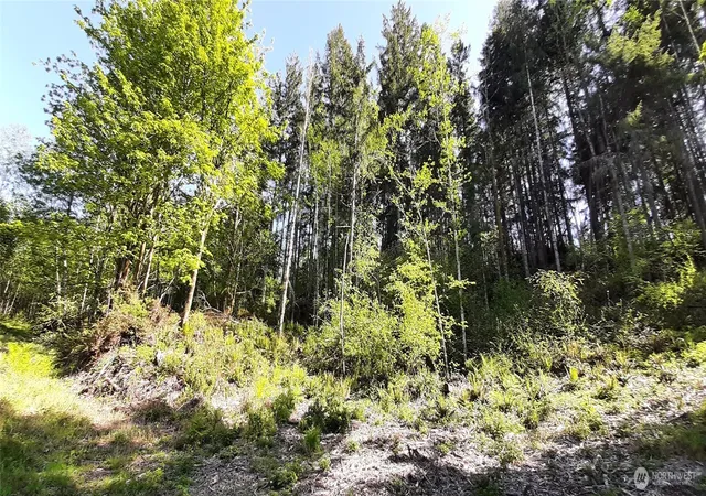 Photo 1 of Land for sale at 301 Ne Wj Way, Belfair, WA 98528 | MLS# NWM2521324 | Listing updated on 2026-09-21