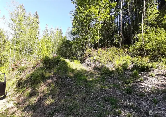 Photo 2 of Land for sale at 301 Ne Wj Way, Belfair, WA 98528 | MLS# NWM2521324 | Listing updated on 2026-09-21