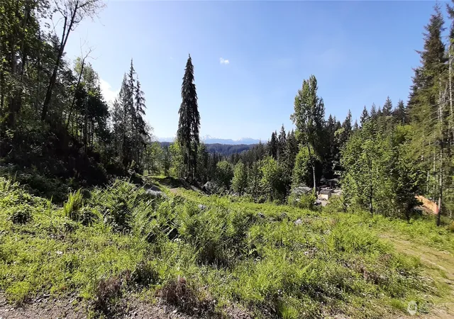 Photo 3 of Land for sale at 301 NE Wj Way, Belfair, WA 98528 | MLS# NWM2521324 | Listing updated on 2026-09-21