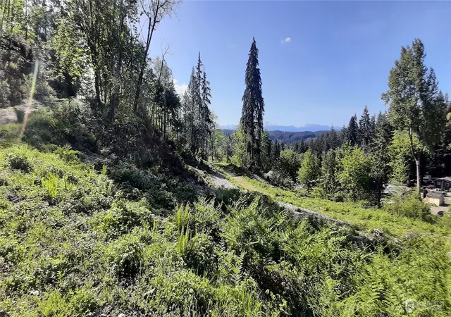 Photo 4 of Land for sale at 301 NE Wj Way, Belfair, WA 98528 | MLS# NWM2521324 | Listing updated on 2026-09-21