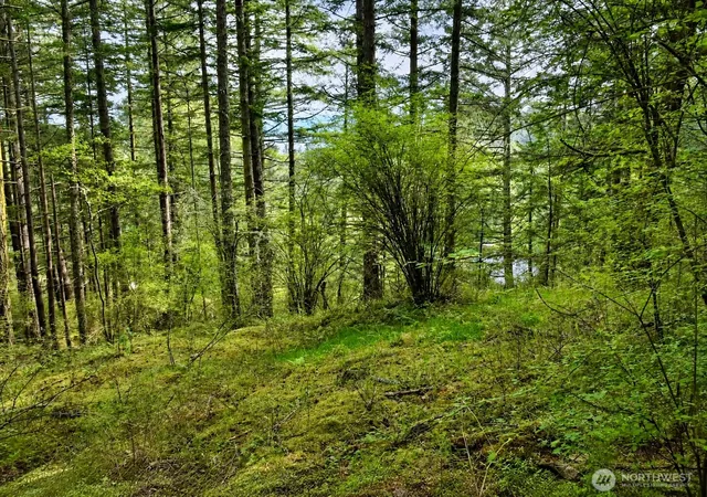 Photo 1 of Land for sale at 0 Xxx Garden Ln, Olga, WA 98279 | MLS# NWM2521336 | Listing updated on 2026-09-21