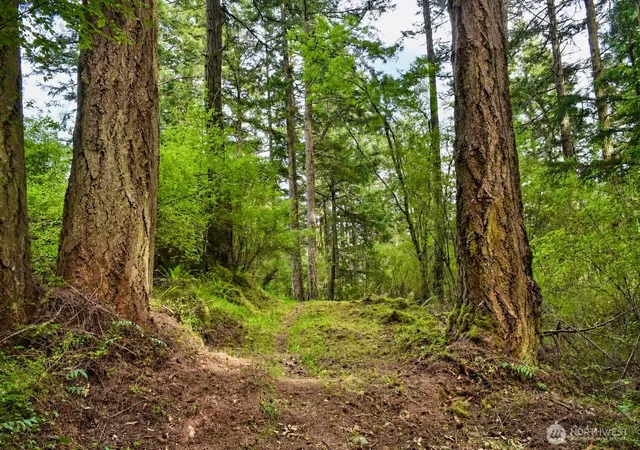 Photo 3 of Land for sale at 0 Xxx Garden Ln, Olga, WA 98279 | MLS# NWM2521336 | Listing updated on 2026-09-21