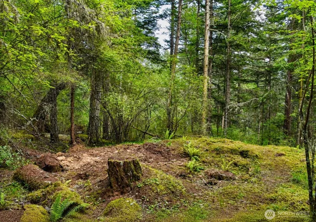 Photo 3 of Land for sale at 0 Xxx Garden Ln, Olga, WA 98279 | MLS# NWM2521336 | Listing updated on 2026-09-21