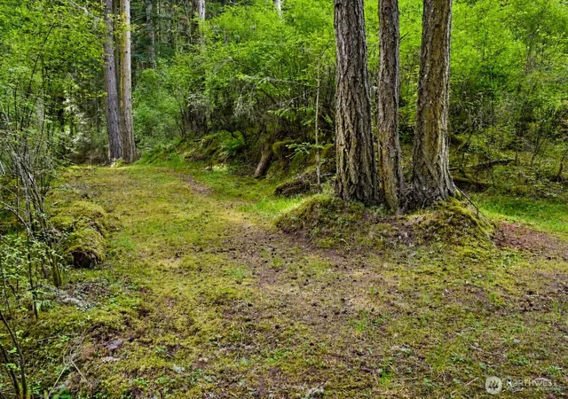 Photo 4 of Land for sale at 0 Xxx Garden Ln, Olga, WA 98279 | MLS# NWM2521336 | Listing updated on 2026-09-21