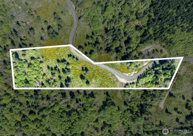 Photo 3 of Land for sale at 410 E Lone Fir Dr, Shelton, WA 98584 | MLS# NWM2521403 | Listing updated on 2026-09-21