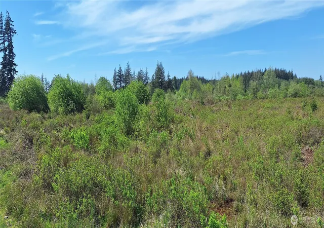 Photo 1 of Land for sale at 123 Meier Rd, Winlock, WA 98596 | MLS# NWM2521424 | Listing updated on 2026-09-21