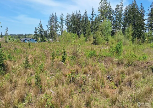 Photo 2 of Land for sale at 123 Meier Rd, Winlock, WA 98596 | MLS# NWM2521424 | Listing updated on 2026-09-21