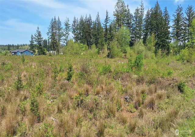 Photo 3 of Land for sale at 123 Meier Rd, Winlock, WA 98596 | MLS# NWM2521424 | Listing updated on 2026-09-21