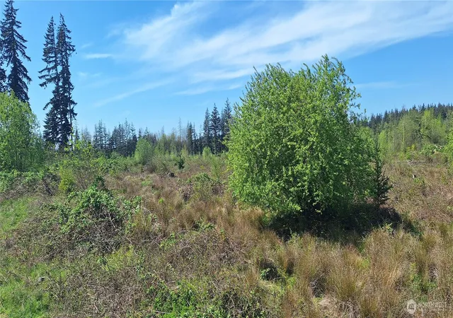Photo 3 of Land for sale at 123 Meier Rd, Winlock, WA 98596 | MLS# NWM2521424 | Listing updated on 2026-09-21