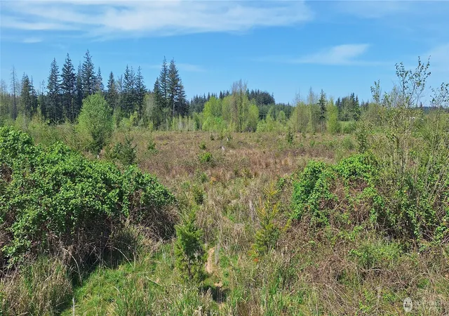 Photo 4 of Land for sale at 123 Meier Rd, Winlock, WA 98596 | MLS# NWM2521424 | Listing updated on 2026-09-21