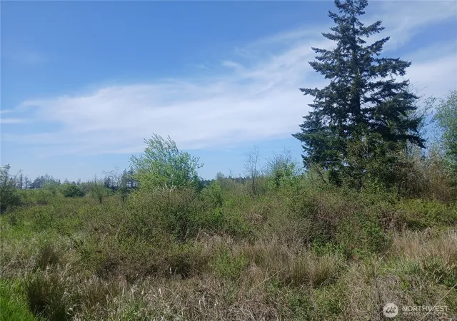Photo 2 of Land for sale at 456 Meier Rd, Winlock, WA 98596 | MLS# NWM2521434 | Listing updated on 2026-09-21