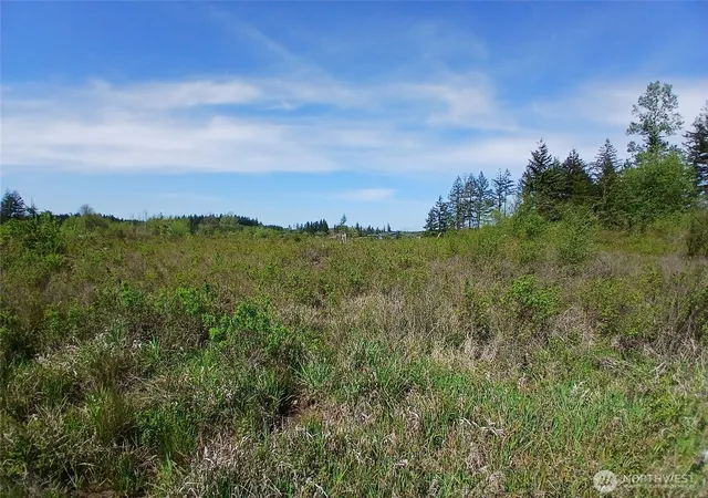 Photo 3 of Land for sale at 456 Meier Rd, Winlock, WA 98596 | MLS# NWM2521434 | Listing updated on 2026-09-21