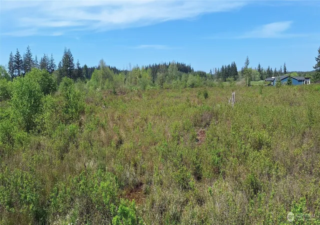 Photo 3 of Land for sale at 456 Meier Rd, Winlock, WA 98596 | MLS# NWM2521434 | Listing updated on 2026-09-21