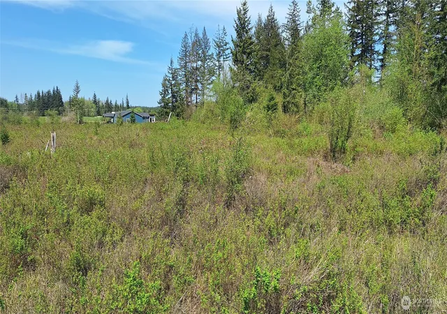 Photo 4 of Land for sale at 456 Meier Rd, Winlock, WA 98596 | MLS# NWM2521434 | Listing updated on 2026-09-21