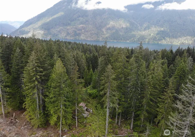 Photo 3 of Land for sale at 0 Westside, Hoodsport, WA 98548 | MLS# NWM2521534 | Listing updated on 2026-09-21