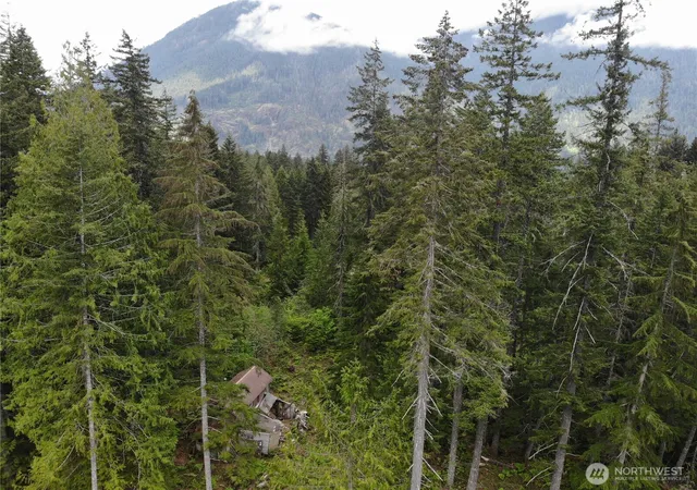 Photo 3 of Land for sale at 0 Westside, Hoodsport, WA 98548 | MLS# NWM2521534 | Listing updated on 2026-09-21