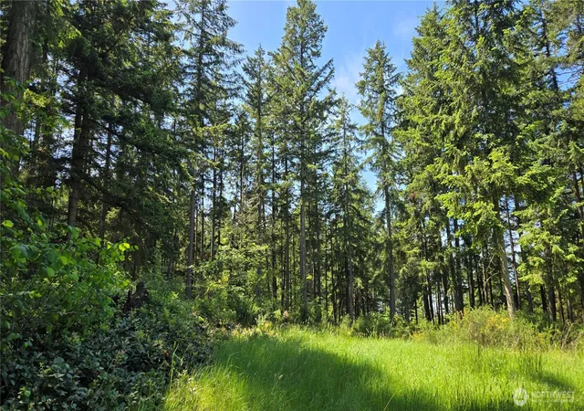 Photo 1 of Sale Pending at 2525 Willa St Ne, Olympia, WA 98516 | MLS# NWM2521607 | Listing updated on 2026-09-03