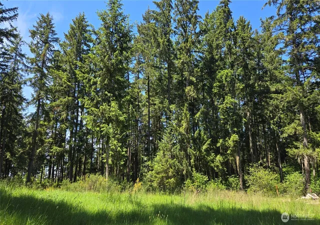 Photo 2 of Sale Pending at 2525 Willa St Ne, Olympia, WA 98516 | MLS# NWM2521607 | Listing updated on 2026-09-03