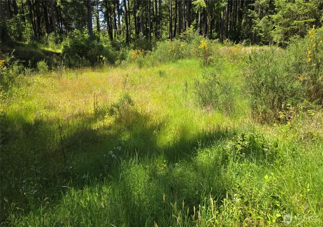 Photo 3 of Sale Pending at 2525 Willa St Ne, Olympia, WA 98516 | MLS# NWM2521607 | Listing updated on 2026-09-03