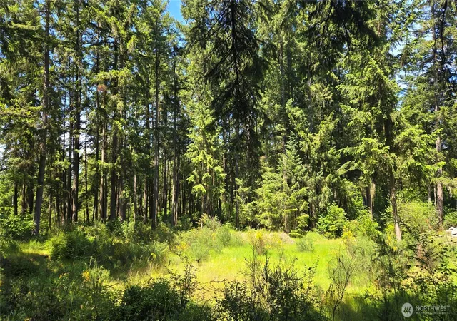 Photo 3 of Sale Pending at 2525 Willa St NE, Olympia, WA 98516 | MLS# NWM2521607 | Listing updated on 2026-09-03