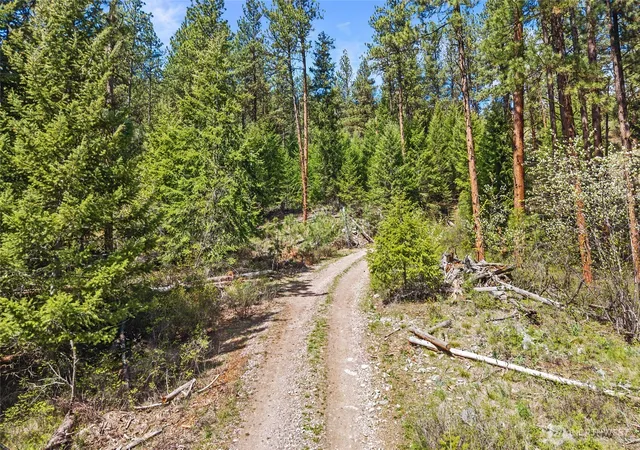Photo 3 of Land for sale at 45 Xxxx Klondike, Republic, WA 99166 | MLS# NWM2521777 | Listing updated on 2026-09-21