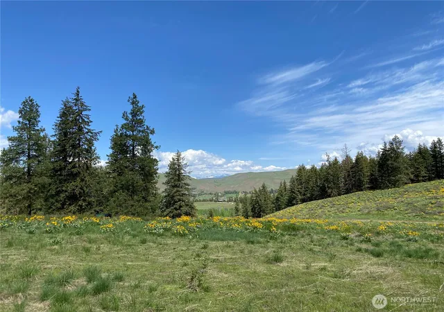 Land for sale at 102 Elbow Cyn Rd, Twisp, WA 98856 | MLS# NWM2521789