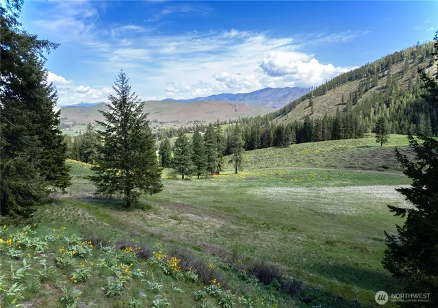 Photo 2 of Land for sale at 102 Elbow Cyn Rd, Twisp, WA 98856 | MLS# NWM2521789 | Listing updated on 2026-09-21