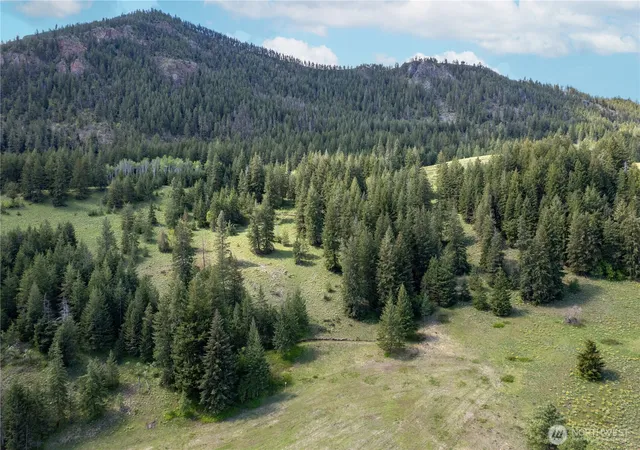 Photo 3 of Land for sale at 102 Elbow Cyn Rd, Twisp, WA 98856 | MLS# NWM2521789 | Listing updated on 2026-09-21