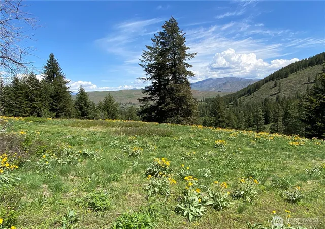 Photo 4 of Land for sale at 102 Elbow Cyn Rd, Twisp, WA 98856 | MLS# NWM2521789 | Listing updated on 2026-09-21