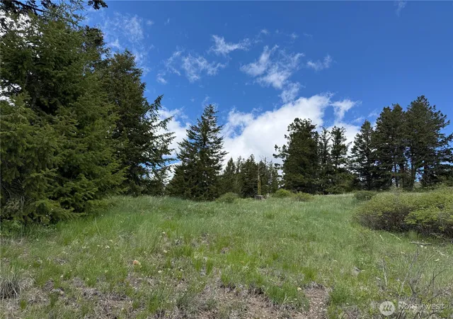 Photo 3 of Land for sale at 0 Old Sheridan Rd, Wauconda, WA 98859 | MLS# NWM2521949 | Listing updated on 2026-09-21